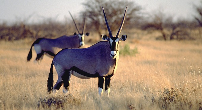 Image courtesy of Tourism South Africa