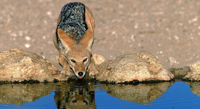 Image courtesy of Tourism South Africa