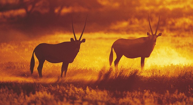 Image courtesy of Tourism South Africa
