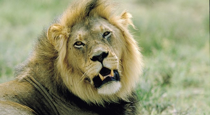 Image courtesy of Tourism South Africa