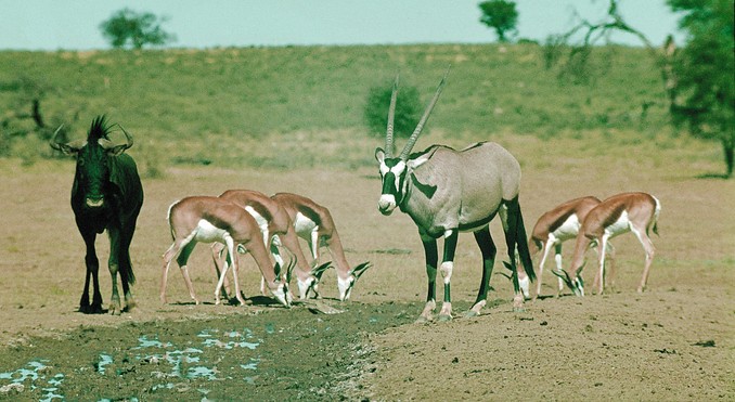 Image courtesy of Tourism South Africa