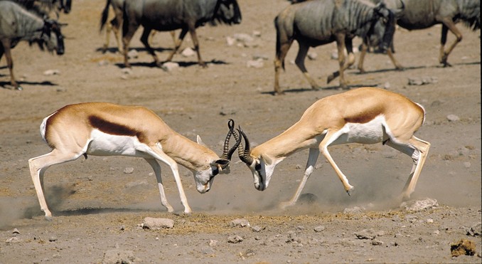 Image courtesy of Tourism South Africa