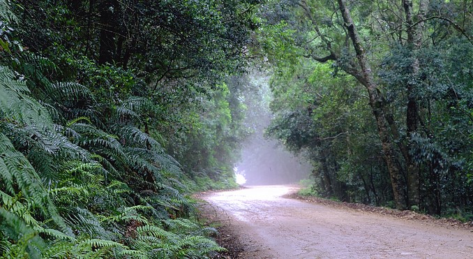 Knysna