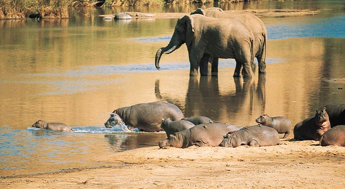 Image courtesy of Tourism South Africa