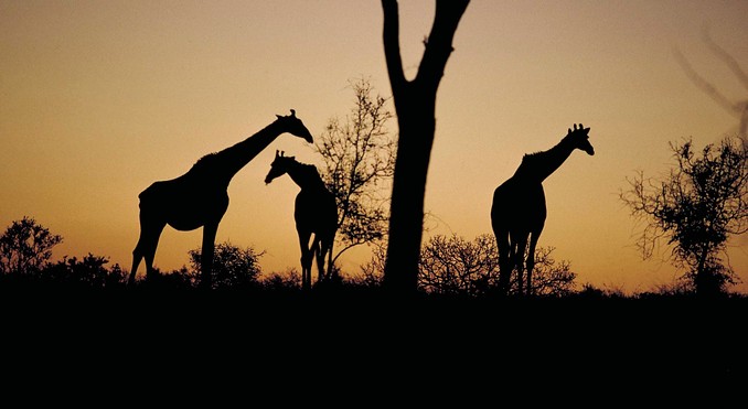 Image courtesy of Tourism South Africa