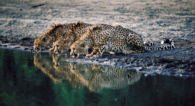 Image courtesy of Tourism South Africa