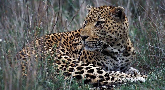 Image courtesy of Tourism South Africa