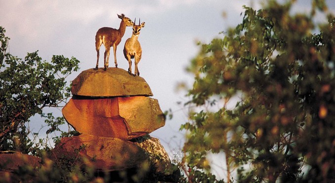 Image courtesy of Tourism South Africa