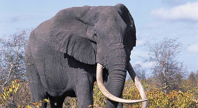 Image courtesy of Tourism South Africa