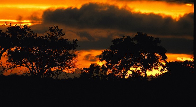 Image courtesy of Tourism South Africa