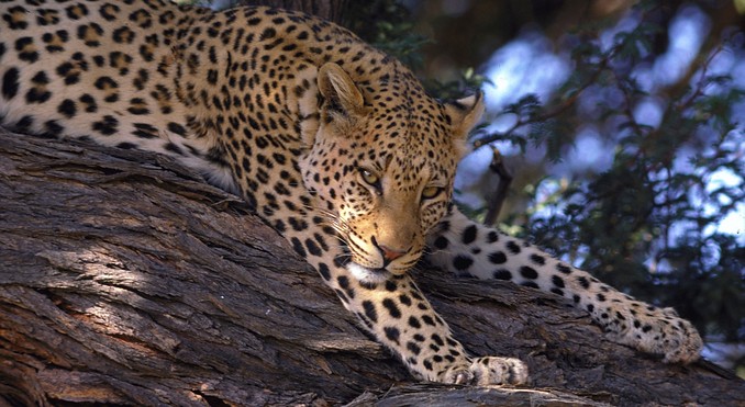 Image courtesy of Tourism South Africa