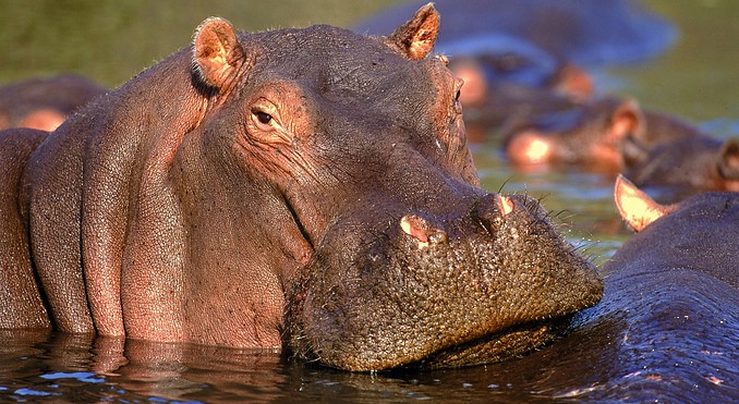 Image courtesy of Tourism South Africa