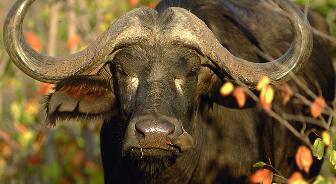 Image courtesy of Tourism South Africa