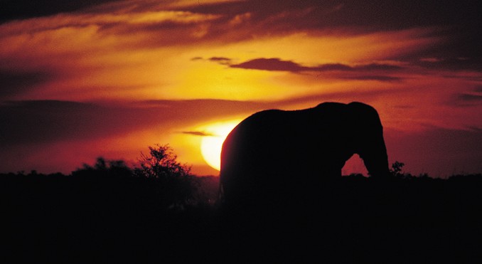 Kruger National Park - Mpumalanga
