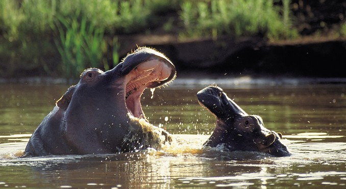 Image courtesy of Tourism South Africa