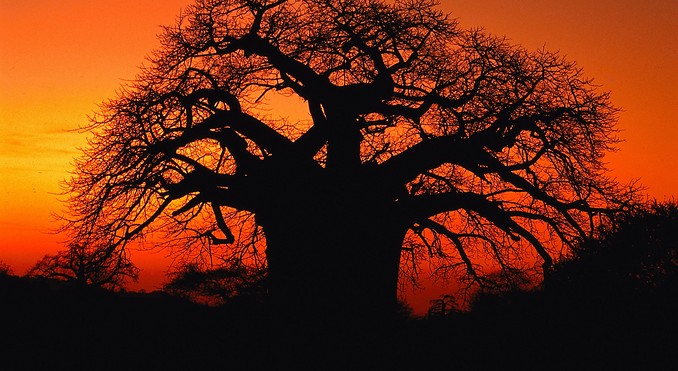 Limpopo