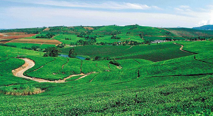 Magoebaskloof