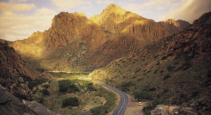 Montagu