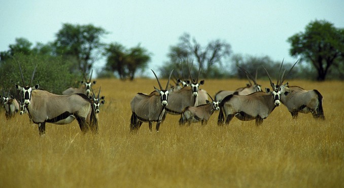 Pilanesberg National Park