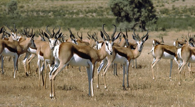 Image courtesy of Tourism South Africa