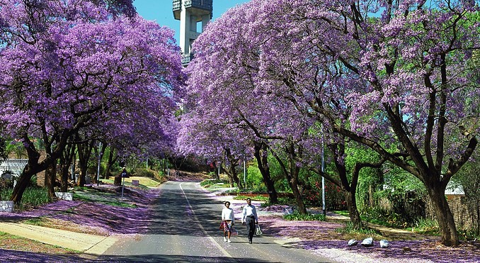 Pretoria