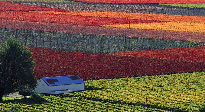 Western Cape