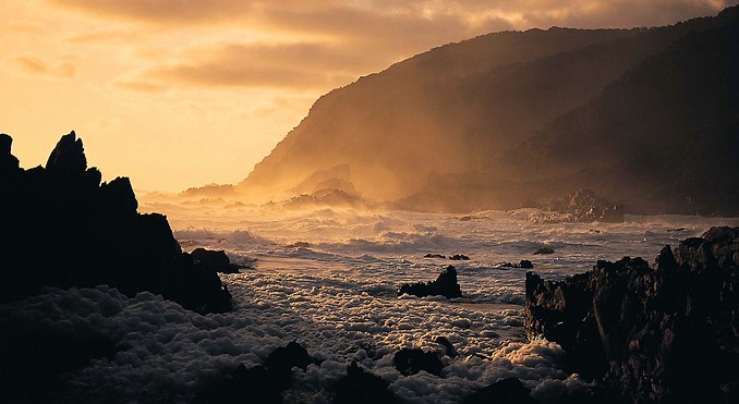 Wild Coast