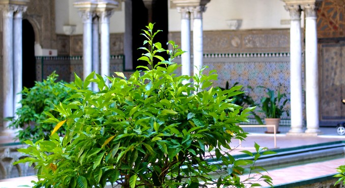 Image courtesy of National Tourist Office of Spain