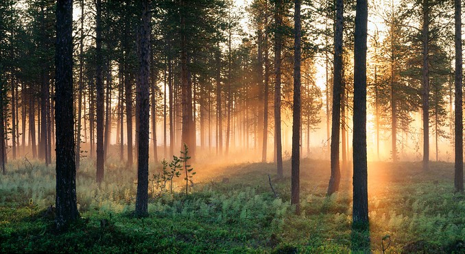 Swedish Lapland