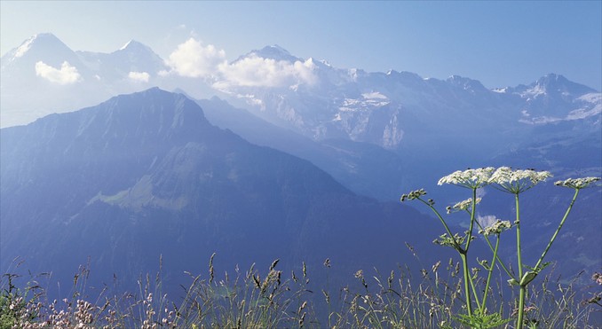 Image courtesy of Jungfrau Railway