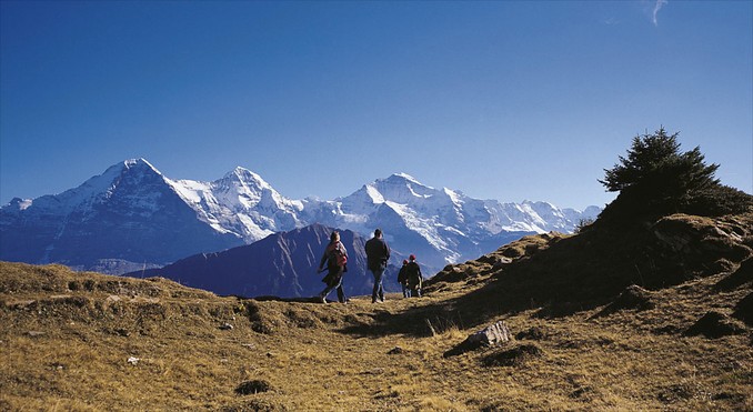 Image courtesy of Jungfrau Railway
