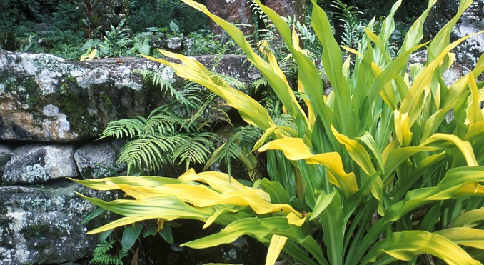 Image courtesy of Tahiti Tourisme