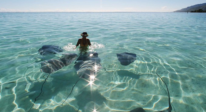 Image courtesy of Tahiti Tourisme