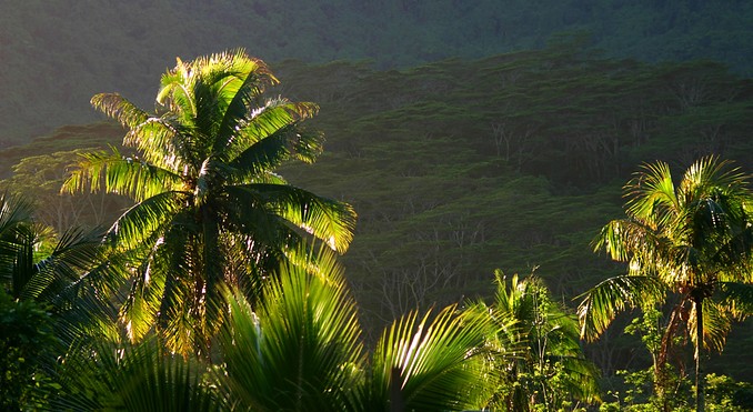 Moorea