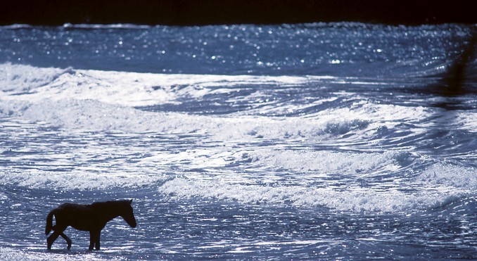 Image courtesy of Tahiti Tourisme