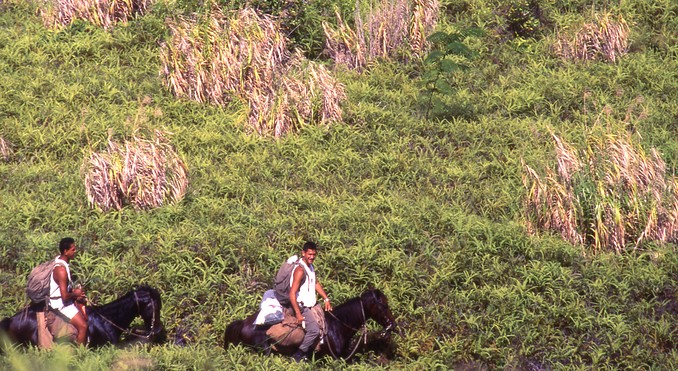 Image courtesy of Tahiti Tourisme