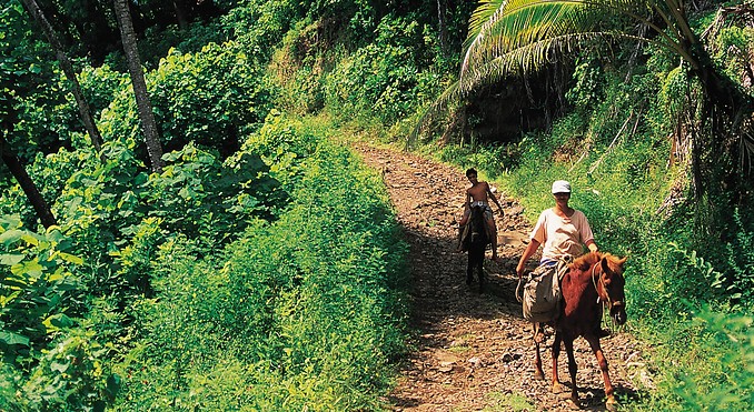Image courtesy of Tahiti Tourisme