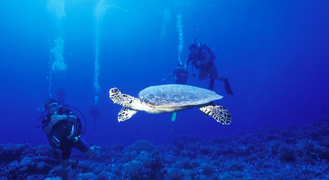Image courtesy of Tahiti Tourisme