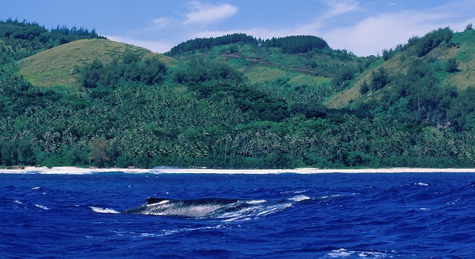 Image courtesy of Tahiti Tourisme