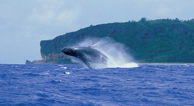Image courtesy of Tahiti Tourisme