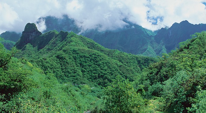 Image courtesy of Tahiti Tourisme