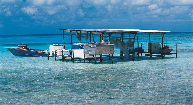 Image courtesy of Tahiti Tourisme