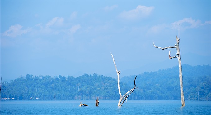 Cheow Larn lake