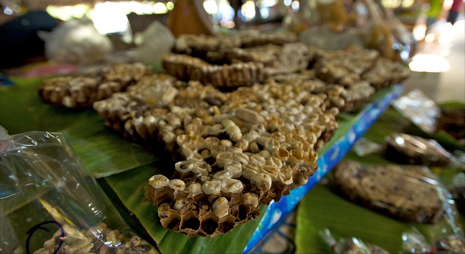 Image courtesy of Tourism Media
