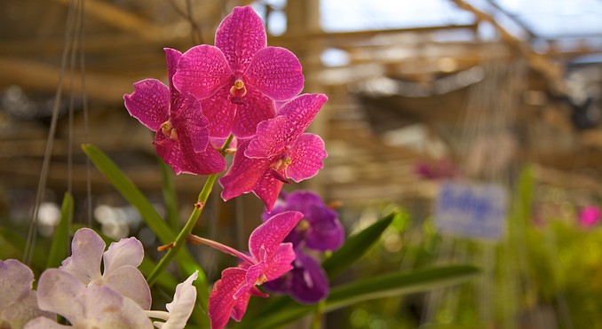 Image courtesy of Tourism Media