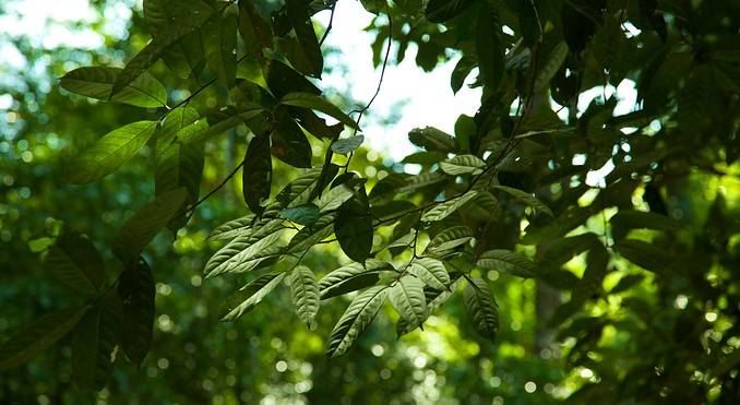Image courtesy of Tourism Media