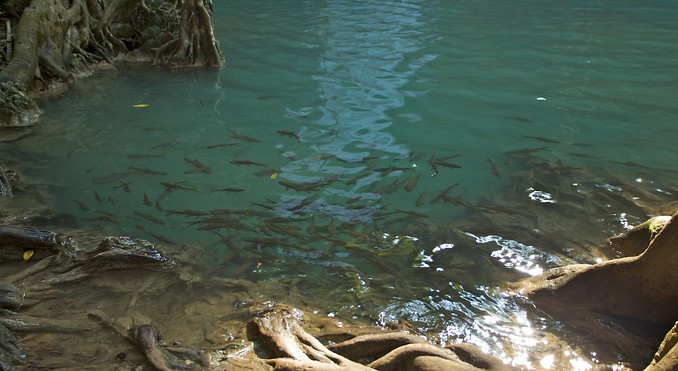 Image courtesy of Tourism Media