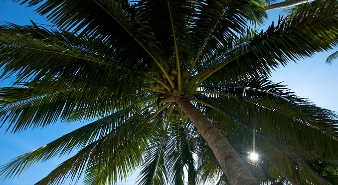 Image courtesy of Tourism Media