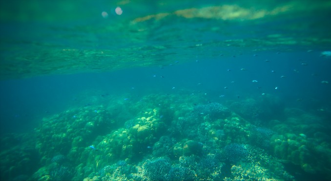 Image courtesy of Tourism Media
