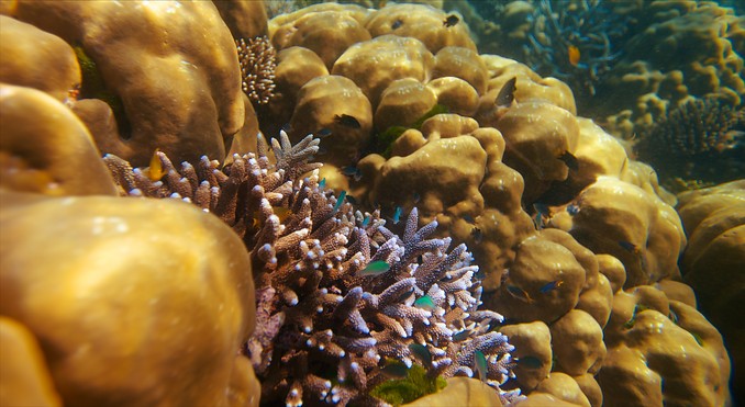 Image courtesy of Tourism Media